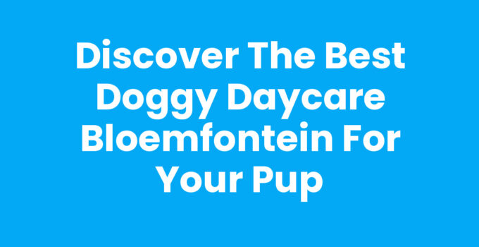 Doggy daycare Bloemfontein with happy dogs playing in a safe environment.