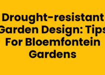Drought-Resistant Garden Design: Tips for Bloemfontein Gardens