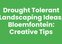 Drought Tolerant Landscaping Ideas, Bloemfontein: Creative Tips Drought Tolerant Landscaping Ideas, Bloemfontein: Creative Tips