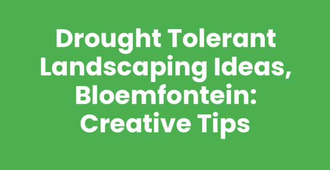 Drought tolerant landscaping ideas in Bloemfontein with native plants and hardscaping.