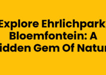 Explore Ehrlichpark, Bloemfontein: A Hidden Gem of Nature