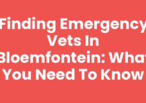 Finding Emergency Vets in Bloemfontein: What You Need to Know Finding Emergency Vets in Bloemfontein: What You Need to Know