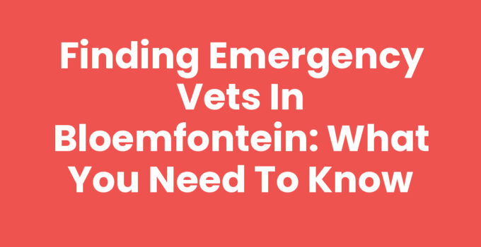 Emergency vets in Bloemfontein providing urgent care to pets.