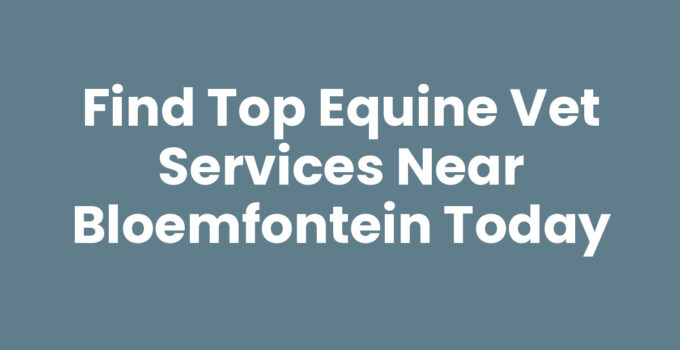Equine vet services near Bloemfontein providing quality care to horses