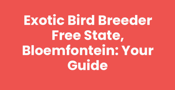 Exotic bird breeder Free State, Bloemfontein showcasing healthy birds