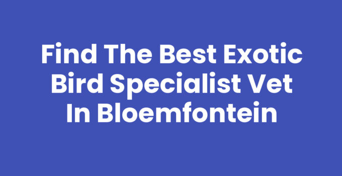 Exotic bird specialist vet services in Bloemfontein