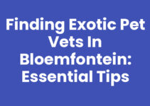 Finding Exotic Pet Vets in Bloemfontein: Essential Tips