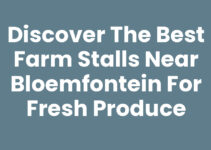 Discover the Best Farm Stalls Near Bloemfontein for Fresh Produce