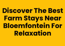 Discover the Best Farm Stays Near Bloemfontein for Relaxation