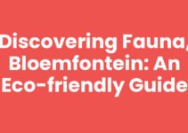 Discovering Fauna, Bloemfontein: An Eco-Friendly Guide