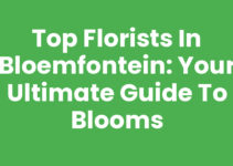 Top Florists in Bloemfontein: Your Ultimate Guide to Blooms