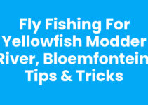 Fly Fishing for Yellowfish Modder River, Bloemfontein: Tips & Tricks