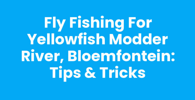 Fly Fishing for Yellowfish Modder River, Bloemfontein: Tips & Tricks