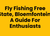 Fly Fishing Free State, Bloemfontein: A Guide for Enthusiasts