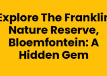 Explore the Franklin Nature Reserve, Bloemfontein: A Hidden Gem Explore the Franklin Nature Reserve, Bloemfontein: A Hidden Gem