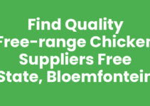 Find Quality Free-range Chicken Suppliers Free State, Bloemfontein Find Quality Free-range Chicken Suppliers Free State, Bloemfontein