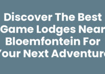 Discover the Best Game Lodges Near Bloemfontein for Your Next Adventure