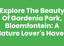 Explore the Beauty of Gardenia Park, Bloemfontein: A Nature Lover’s Haven