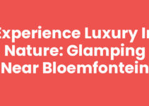 Experience Luxury in Nature: Glamping near Bloemfontein