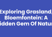 Exploring Grasland, Bloemfontein: A Hidden Gem of Nature
