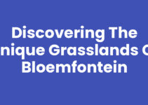 Discovering the Unique Grasslands of Bloemfontein