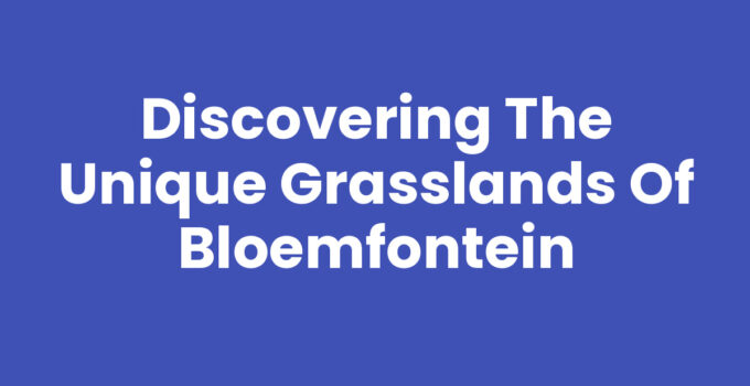 Exploring the Grasslands of Bloemfontein with diverse flora
