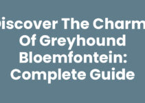 Discover the Charms of Greyhound Bloemfontein: Complete Guide