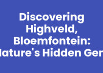 Discovering Highveld, Bloemfontein: Nature’s Hidden Gem