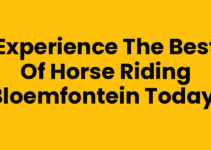 Experience the Best of Horse Riding Bloemfontein Today!