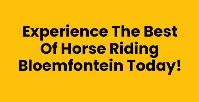 Experience the Best of Horse Riding Bloemfontein Today!