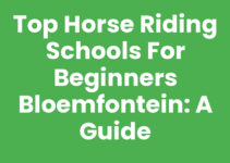 Top Horse Riding Schools for Beginners Bloemfontein: A Guide Top Horse Riding Schools for Beginners Bloemfontein: A Guide