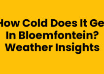 How Cold Does It Get in Bloemfontein? Weather Insights