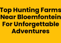 Top Hunting Farms Near Bloemfontein for Unforgettable Adventures