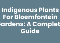 Indigenous Plants for Bloemfontein Gardens: A Complete Guide