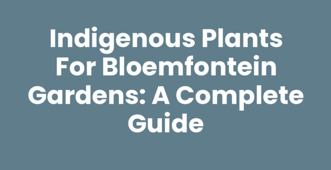 Indigenous plants for Bloemfontein gardens growing in a vibrant landscape