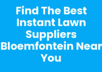 Find the Best Instant Lawn Suppliers Bloemfontein Near You