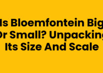 Is Bloemfontein Big or Small? Unpacking Its Size and Scale