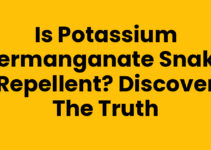Is Potassium Permanganate Snake Repellent? Discover the Truth