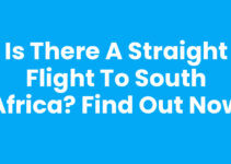 Is there a straight flight to South Africa? Find Out Now