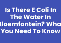 Is there E coli in the water in Bloemfontein? What You Need to Know Is there E coli in the water in Bloemfontein? What You Need to Know