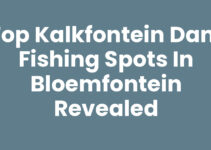 Top Kalkfontein Dam Fishing Spots in Bloemfontein Revealed