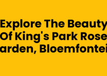 Explore the Beauty of King’s Park Rose Garden, Bloemfontein Explore the Beauty of King’s Park Rose Garden, Bloemfontein