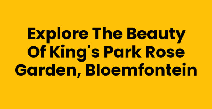 Explore the Beauty of King’s Park Rose Garden, Bloemfontein