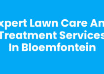 Expert Lawn Care and Treatment Services in Bloemfontein