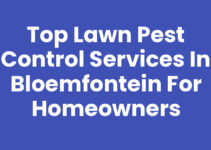 Top Lawn Pest Control Services in Bloemfontein for Homeowners Top Lawn Pest Control Services in Bloemfontein for Homeowners
