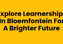 Explore Learnerships in Bloemfontein for a Brighter Future