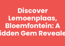 Discover Lemoenplaas, Bloemfontein: A Hidden Gem Revealed