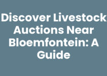 Discover Livestock Auctions Near Bloemfontein: A Guide