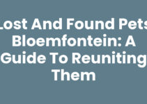 Lost and Found Pets Bloemfontein: A Guide to Reuniting Them