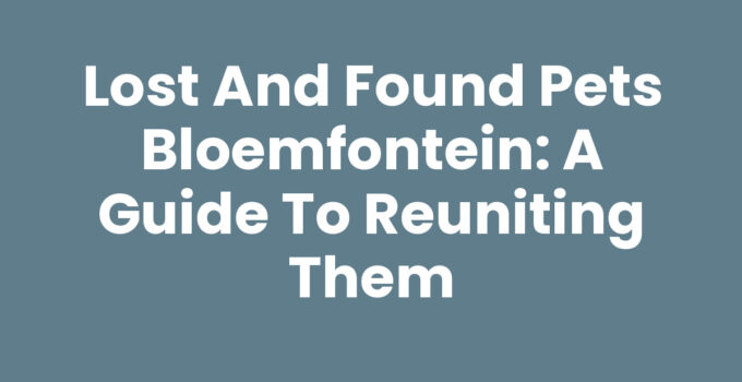 Lost and found pets Bloemfontein - Helping to reunite pets with owners